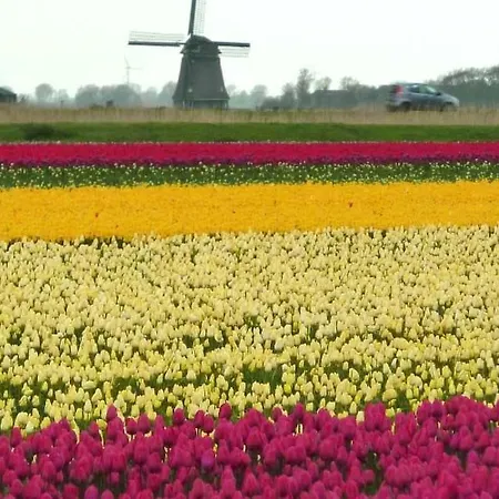 Holiday home De Korre 2 In By Interhome *