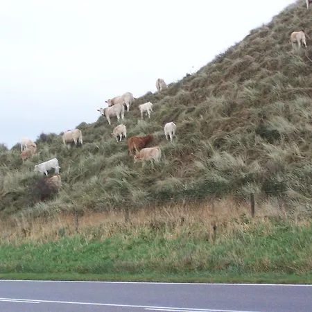 De Korre 2 In By Interhome Holiday home