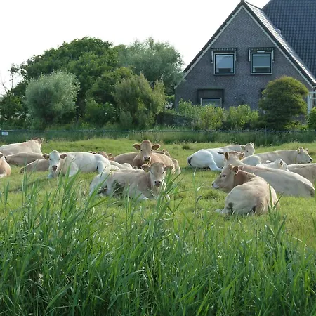 Holiday home De Korre 2 In By Interhome Callantsoog