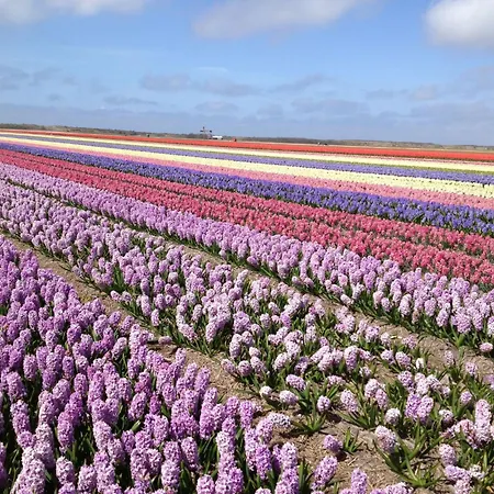 De Korre 2 In By Interhome *