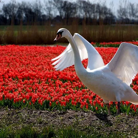 De Korre 2 In By Interhome