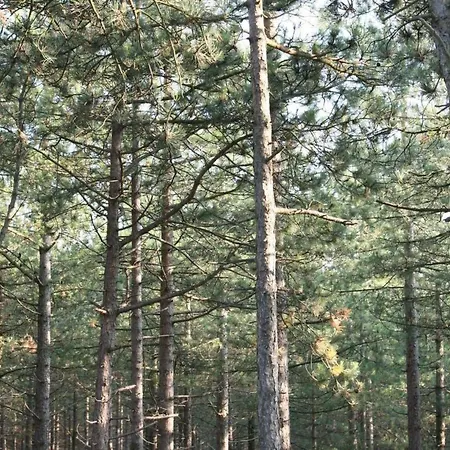 Holiday home De Korre 2 In By Interhome Callantsoog