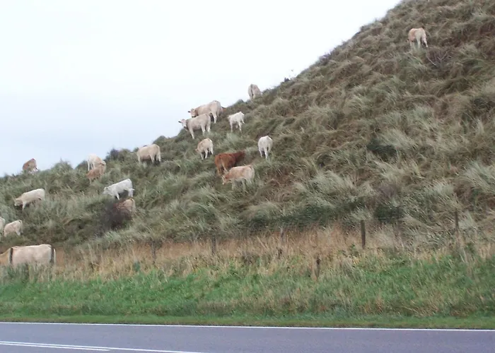 De Korre 2 In By Interhome Vakantiehuis