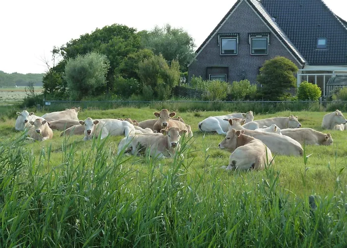 Vakantiehuis De Korre 2 In By Interhome Callantsoog