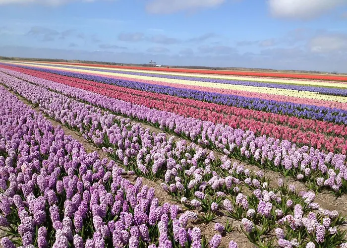 De Korre 2 In By Interhome *