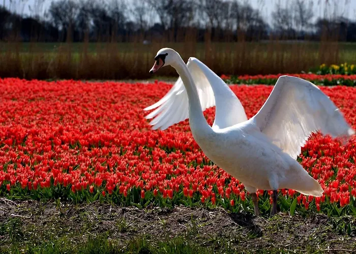 De Korre 2 In By Interhome