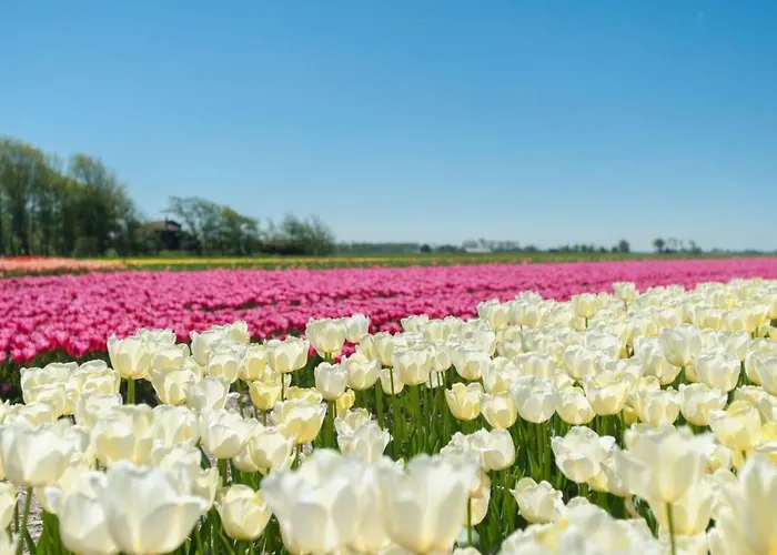 De Korre 2 In By Interhome Vakantiehuis