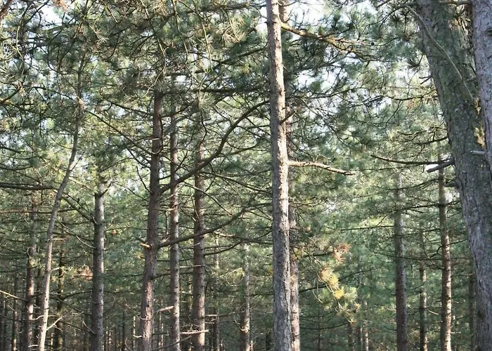 Vakantiehuis De Korre 2 In By Interhome Callantsoog